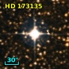 HD 173135