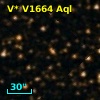 V* V1664 Aql