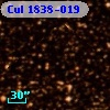 Cul 1838-019
