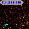 Cul 1838-01B