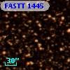 FASTT 1445