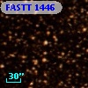 FASTT 1446