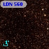 LDN  560