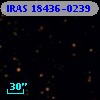 IRAS 18436-0239