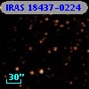 IRAS 18437-0224