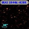 IRAS 18446-0209