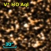 V* HO Aql