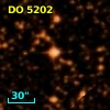 DO  5202