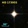 HD 173955