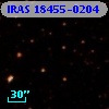 IRAS 18455-0204