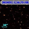 [MSM95] G30.79 FIR  3