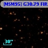 [MSM95] G30.79 FIR 10