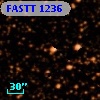 FASTT 1236