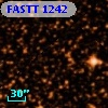 FASTT 1242