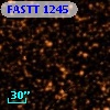 FASTT 1245