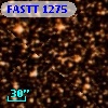 FASTT 1275