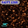 FASTT 1289