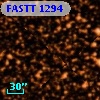 FASTT 1294