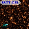 FASTT 1295