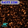 FASTT 1298