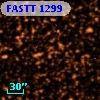 FASTT 1299