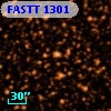 FASTT 1301
