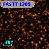 FASTT 1308