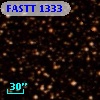 FASTT 1333