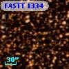 FASTT 1334