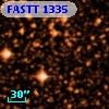 FASTT 1335