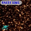 FASTT 1365