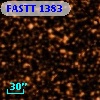 FASTT 1383