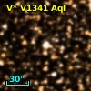V* V1341 Aql