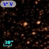 V* V1495 Aql