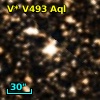 V* V493 Aql