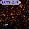 FASTT 1247