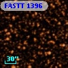 FASTT 1396
