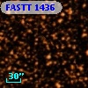 FASTT 1436