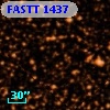 FASTT 1437