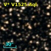 V* V1525 Aql