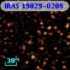 IRAS 19029-0208