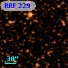 RRF  229