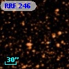 RRF  246