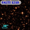 FASTT 1219