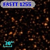 FASTT 1255