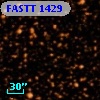 FASTT 1429