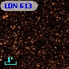 LDN  613