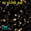 V* V1201 Aql