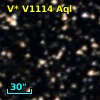 V* V1114 Aql