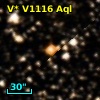 V* V1116 Aql